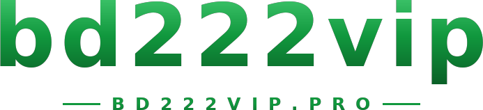 bd222vip logo